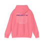 Project 14 Repetition -  Hooded Sweatshirt