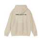 Project 14 Repetition -  Hooded Sweatshirt